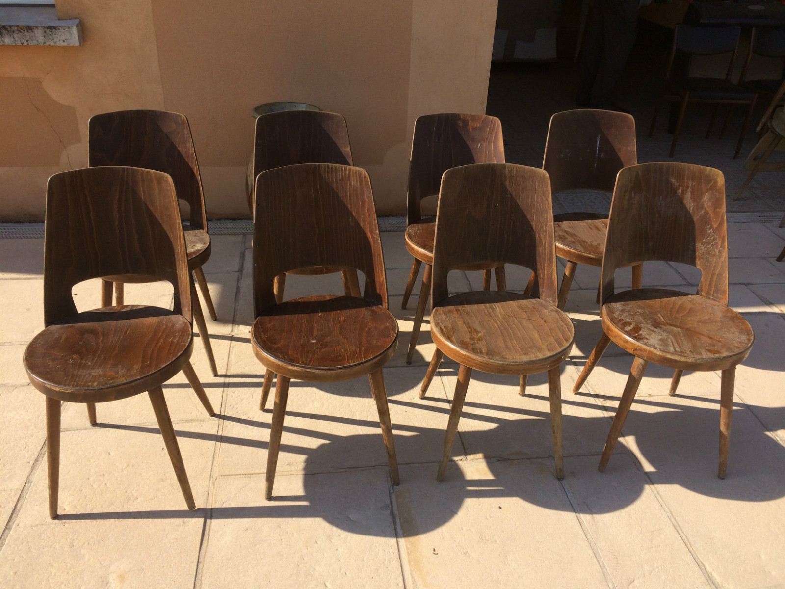 Série de 6 chaises Baumann couleur noyer