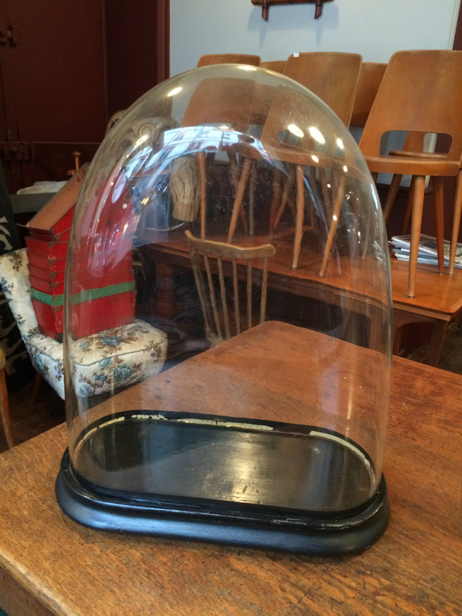 Globes en verre socle bois noircit