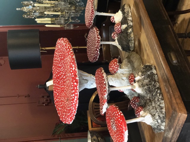 Champignons de jardin en ciment vintage