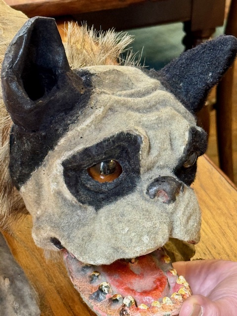Chien bouledogue aboyant papier maché 19ème